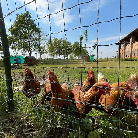 Cascina Mora Casa di campagna *